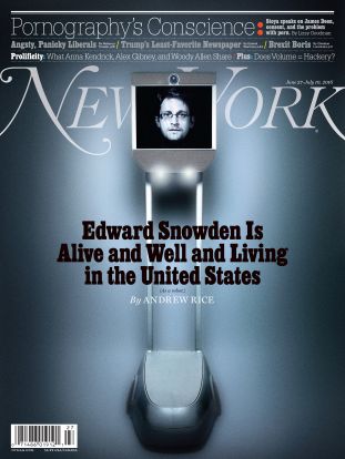 new york magazine, snowbot